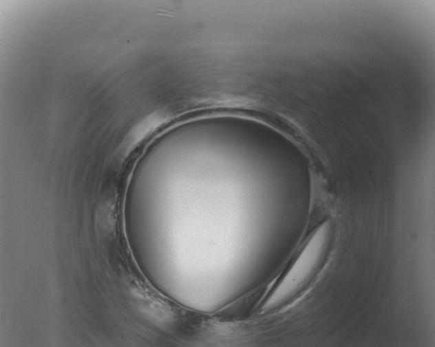 X0000077371163200610271912