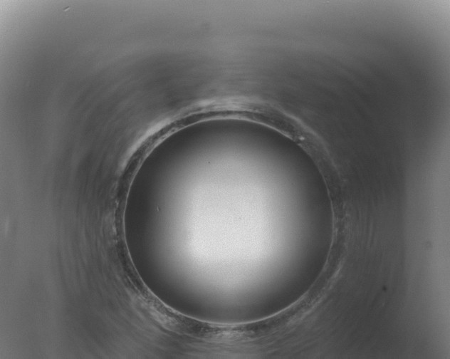 X0000077371166200610271912