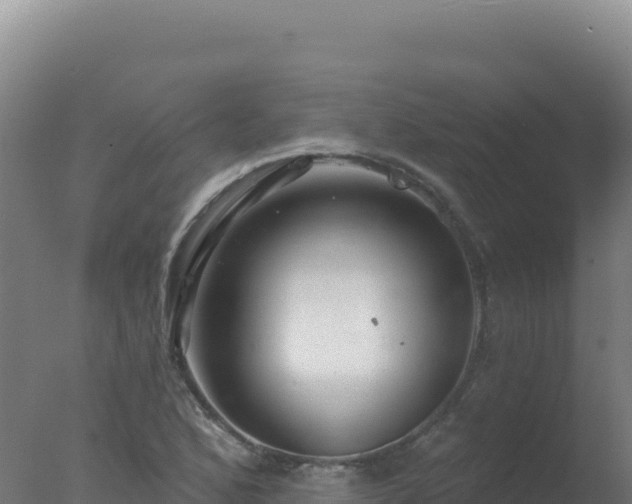 X0000077371168200610271912