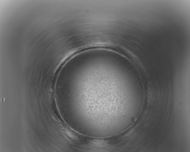 X0000077371170200610271912