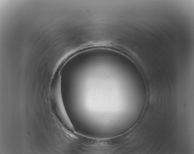 X0000077371174200610271912