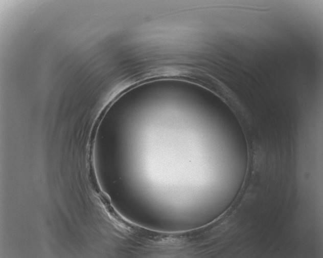 X0000077371178200610271912