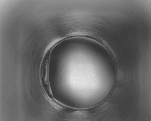 X0000077371179200610271912