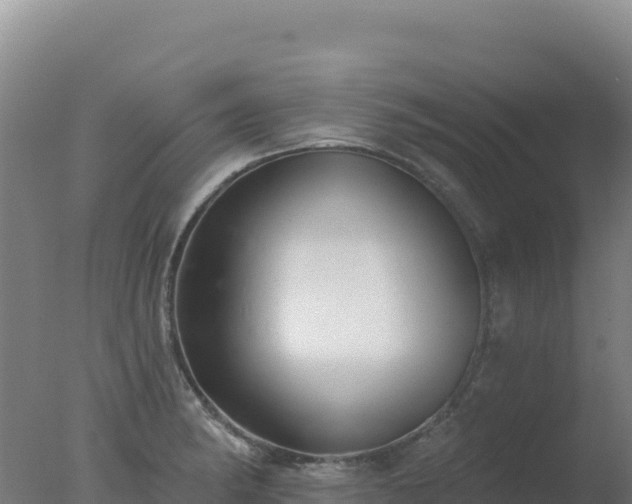 X0000077371182200610271912