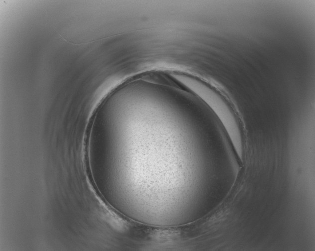 X0000077371183200610271912