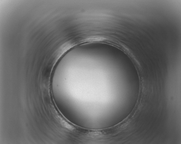 X0000077371186200610271912