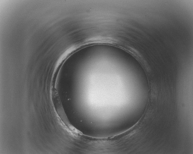 X0000077371188200610271912