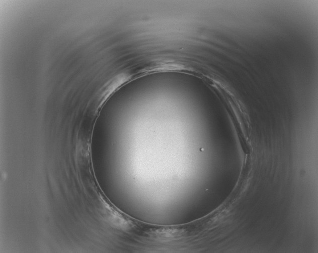 X0000077371193200610271912