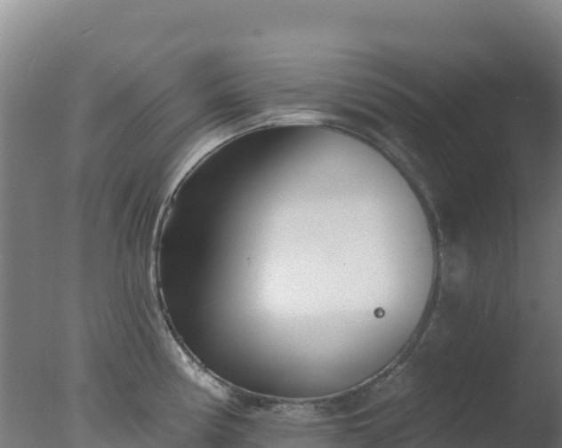 X0000077371194200610271912