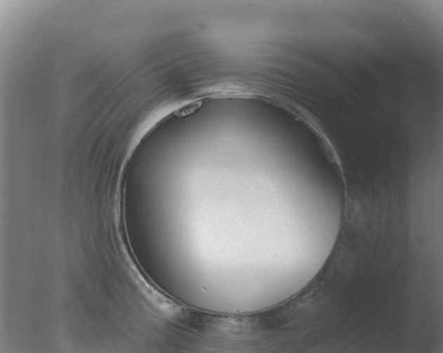 X0000077371195200610271912