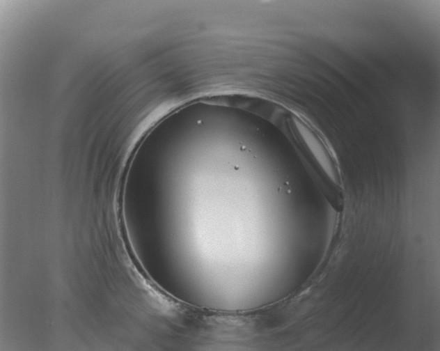 X0000077371197200610271912