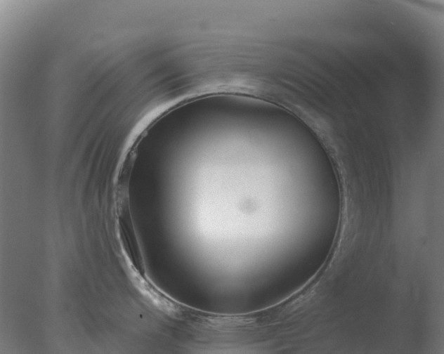 X0000077371200200610271912