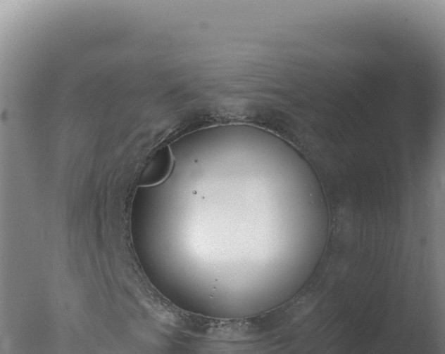 X0000077371201200610271911