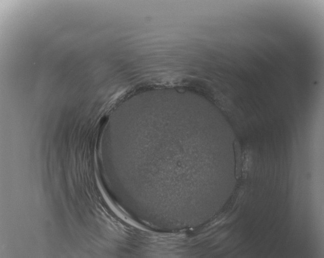 X0000077371202200610271911