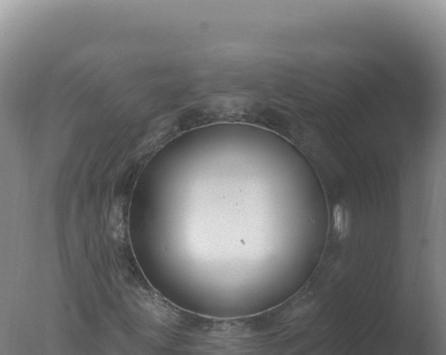 X0000077371203200610271911