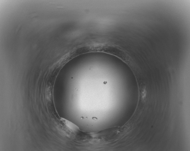 X0000077371204200610271911