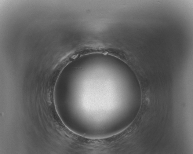 X0000077371205200610271911