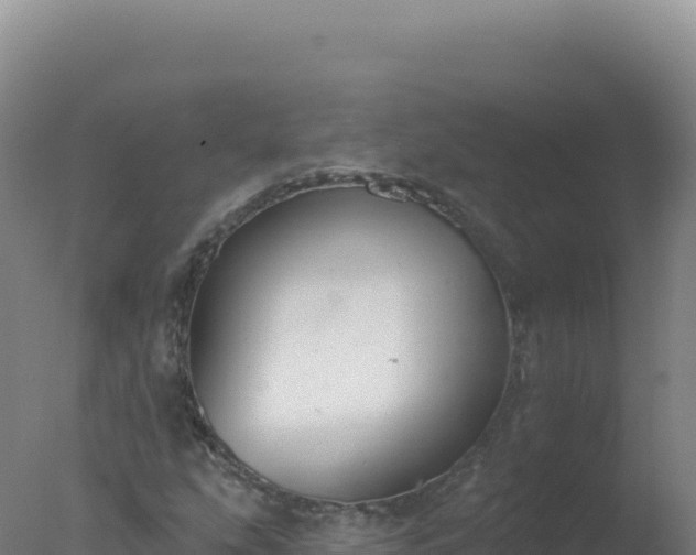 X0000077371207200610271911