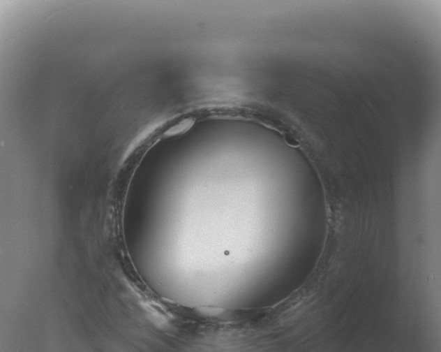 X0000077371208200610271911