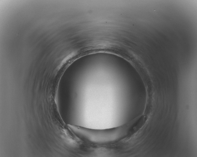 X0000077371210200610271911