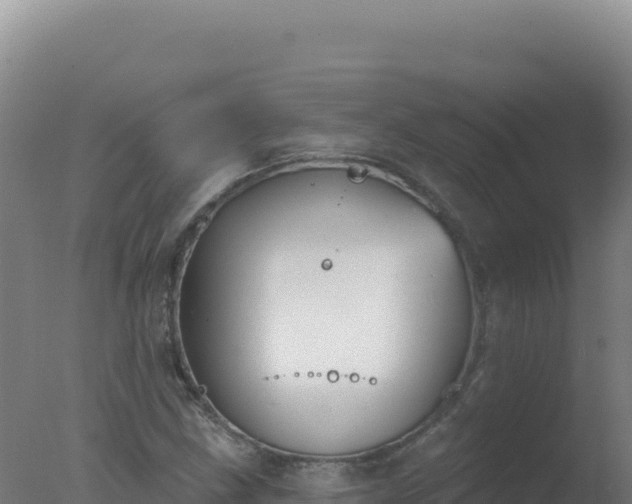 X0000077371211200610271911