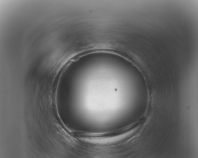 X0000077371212200610271911