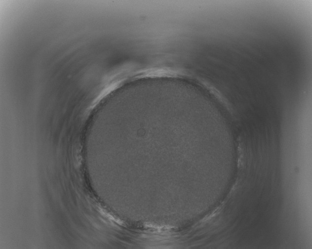 X0000077371213200610271911