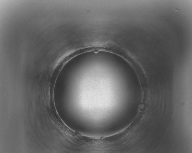 X0000077371214200610271911