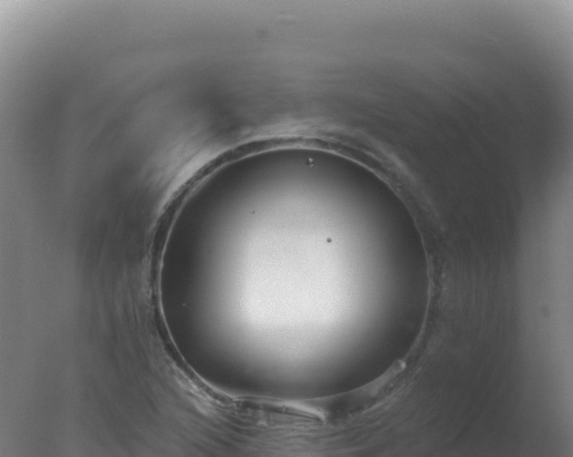 X0000077371216200610271911