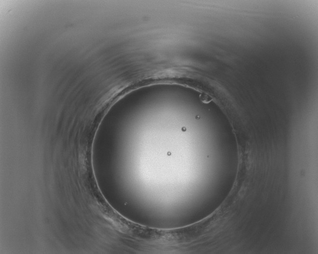 X0000077371217200610271911