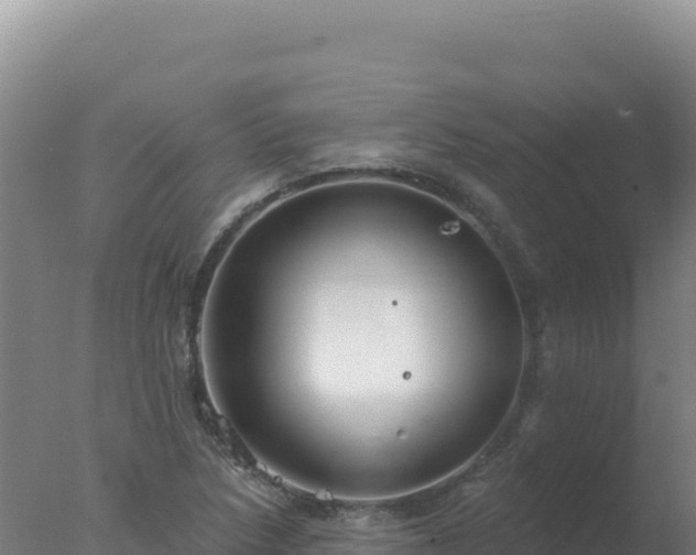 X0000077371218200610271911