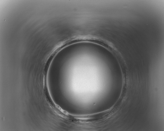 X0000077371221200610271911