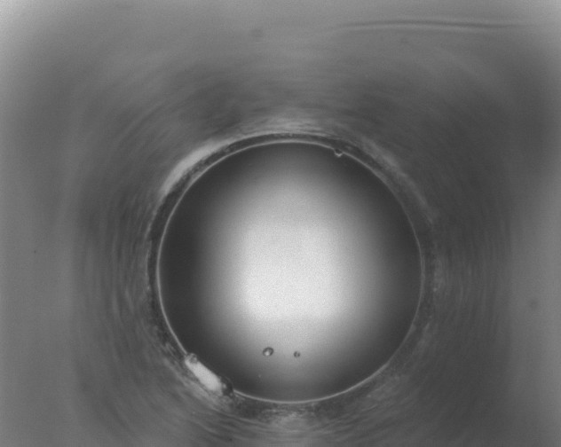 X0000077371222200610271911