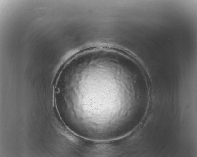 X0000077371223200610271911