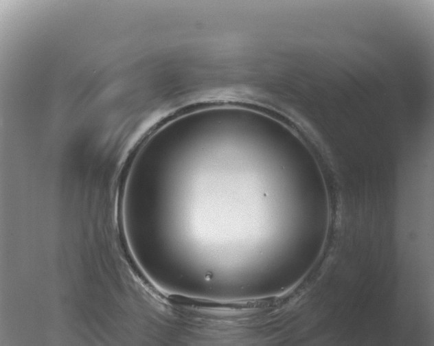 X0000077371224200610271911