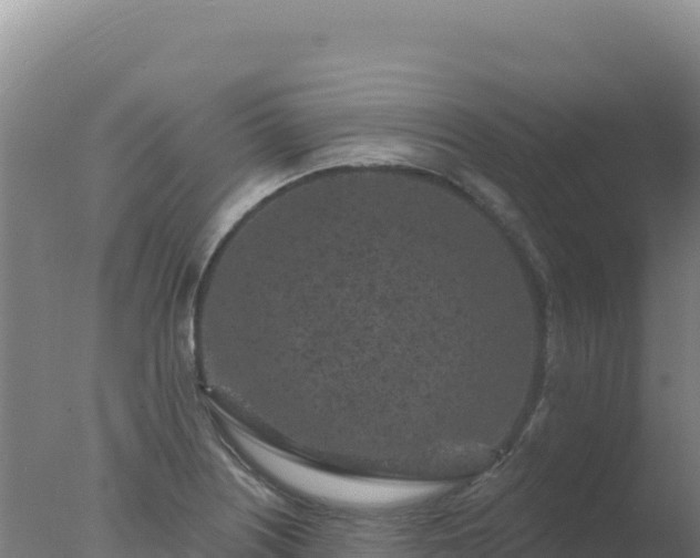 X0000077371226200610271911