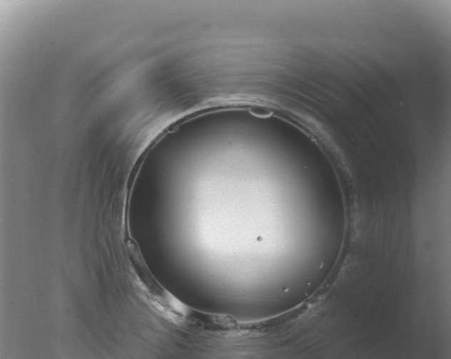 X0000077371228200610271911