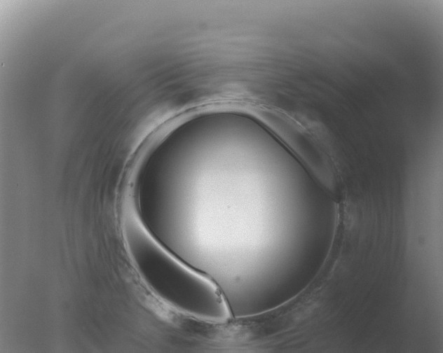 X0000077371230200610271911