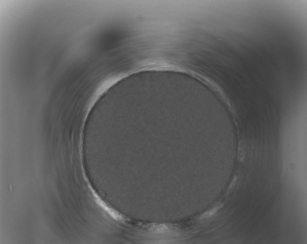 X0000077371231200610271911