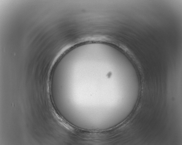 X0000077371232200610271911