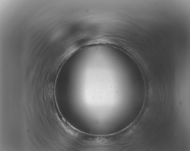 X0000077371233200610271911