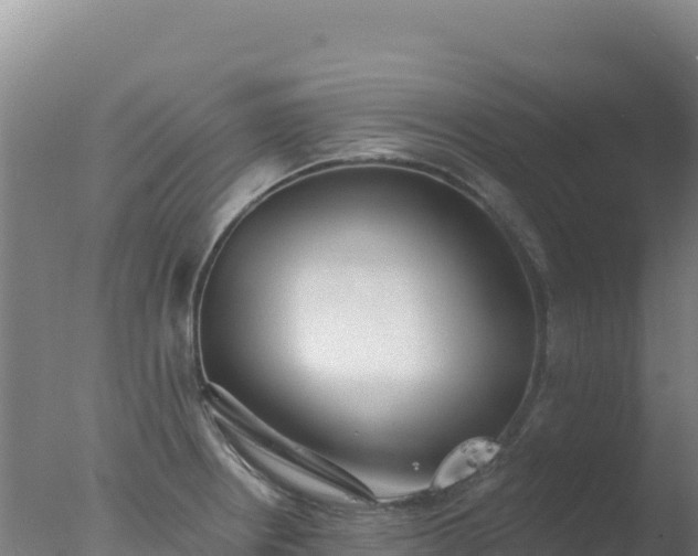 X0000077371234200610271911