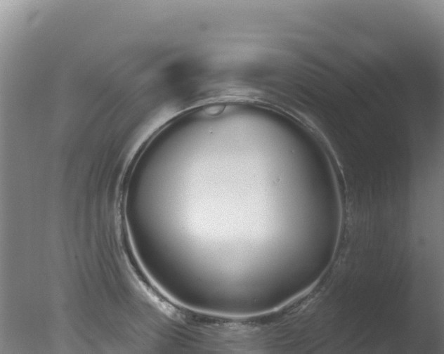 X0000077371235200610271911