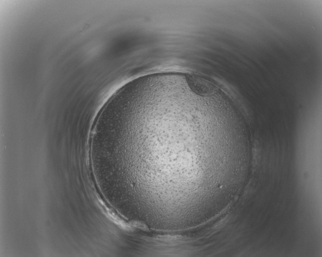 X0000077371236200610271912