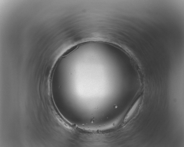 X0000077371238200610271912