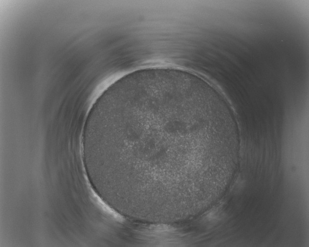 X0000077371239200610271912