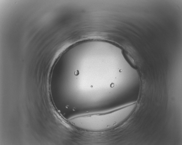 X0000077371240200610271912