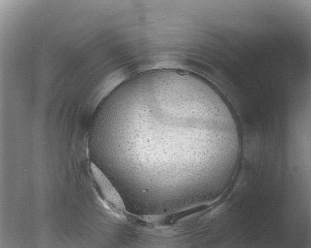 X0000077371241200610271912