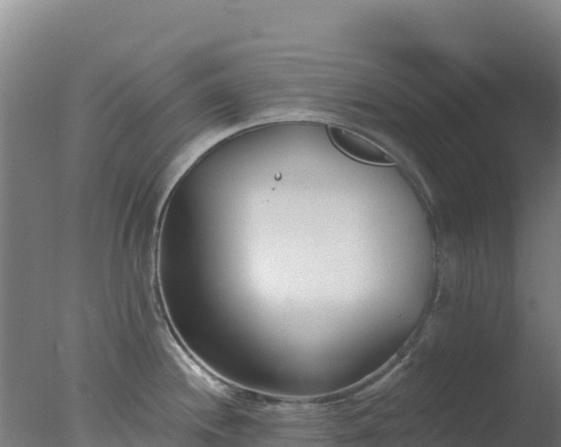 X0000077371244200610271912