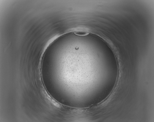 X0000077371248200610271912